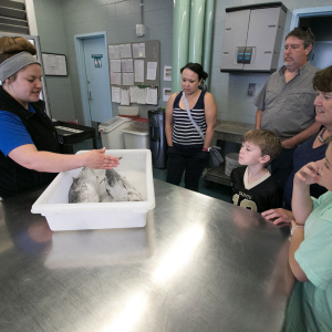 It Takes a Village: Feeding the Animals of Audubon Is a Full-Time Job