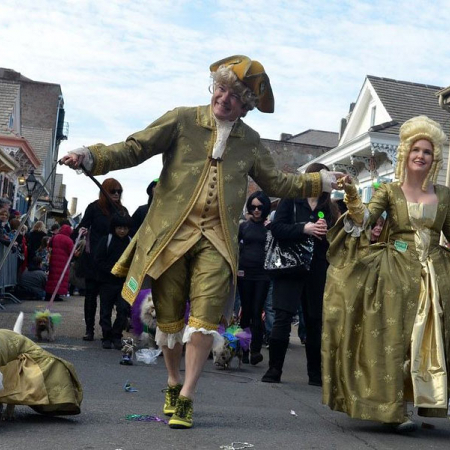 Catch the Canine Carnival Fever