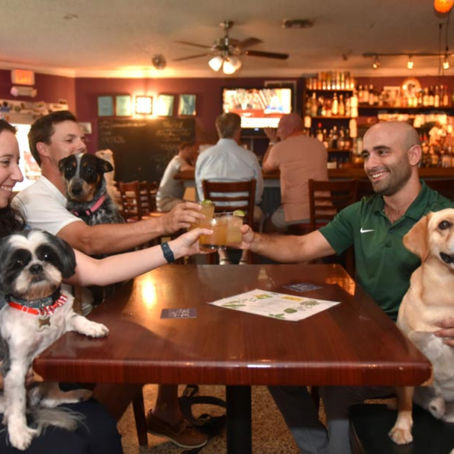 Fido-Friendly Places: Summertime Sipping with Spot