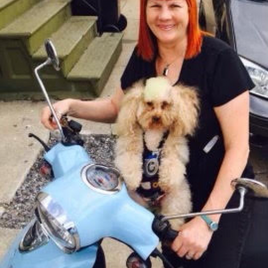 Appreciating the B.E.A.R. Necessities