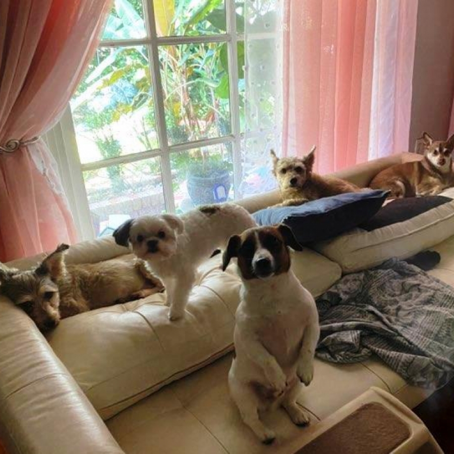 Just Ask Beaux and Me