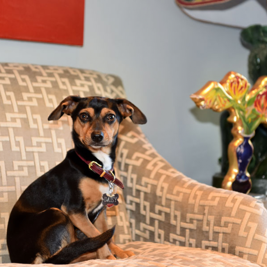 Bryan Batt: Animal Magnetism