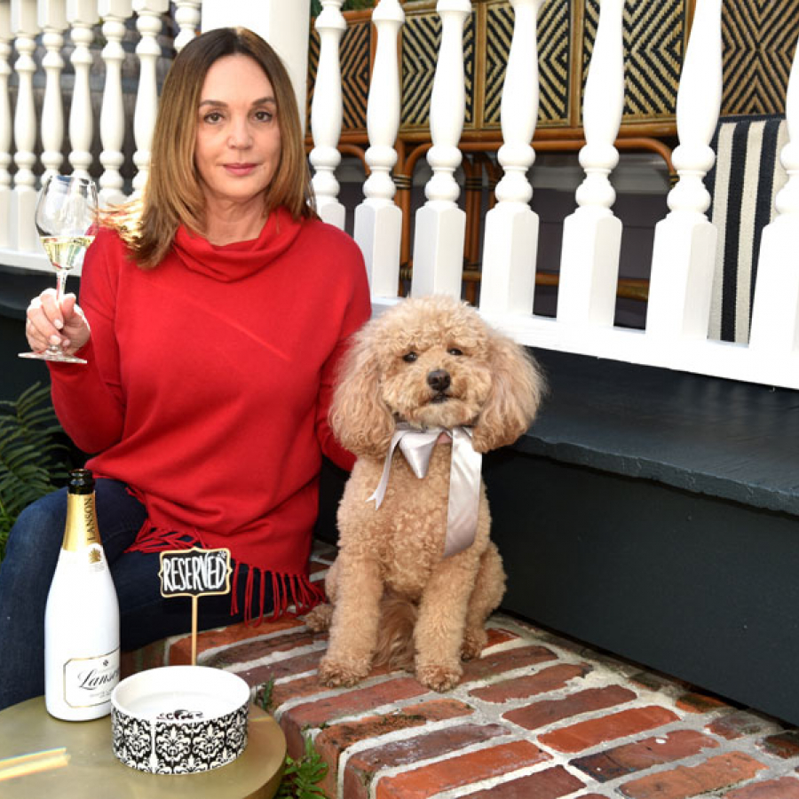 Wag Time: Holiday Festivities with Fido