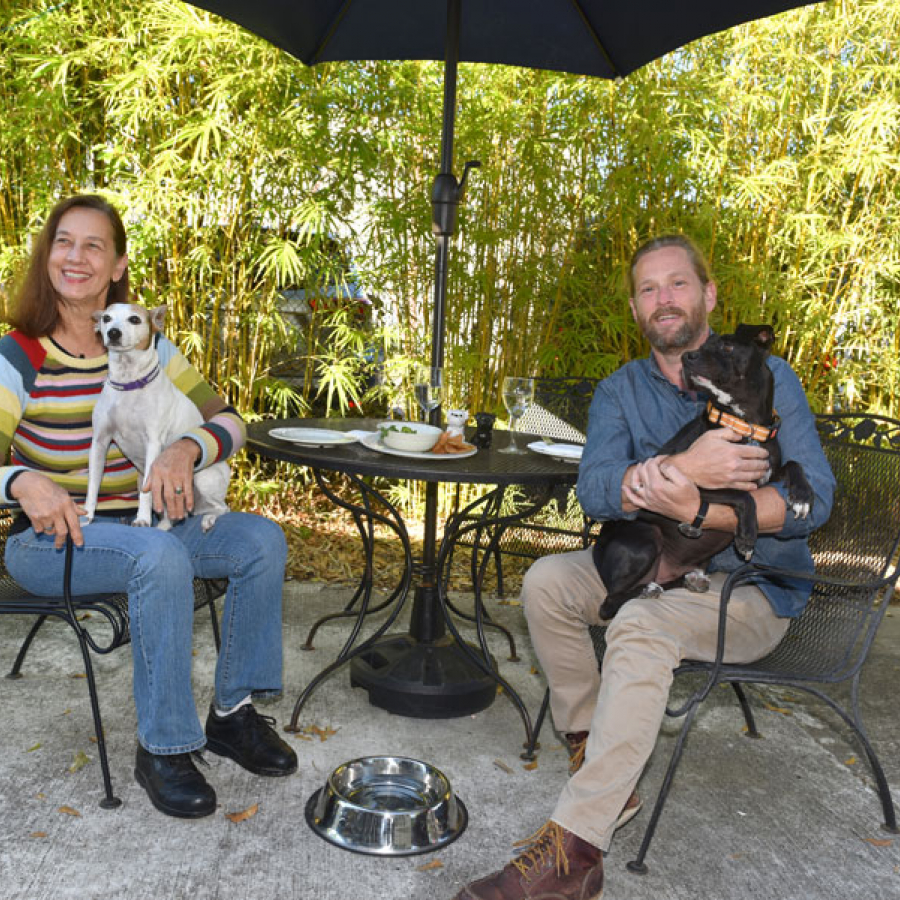Wag Time: Holiday Festivities with Fido