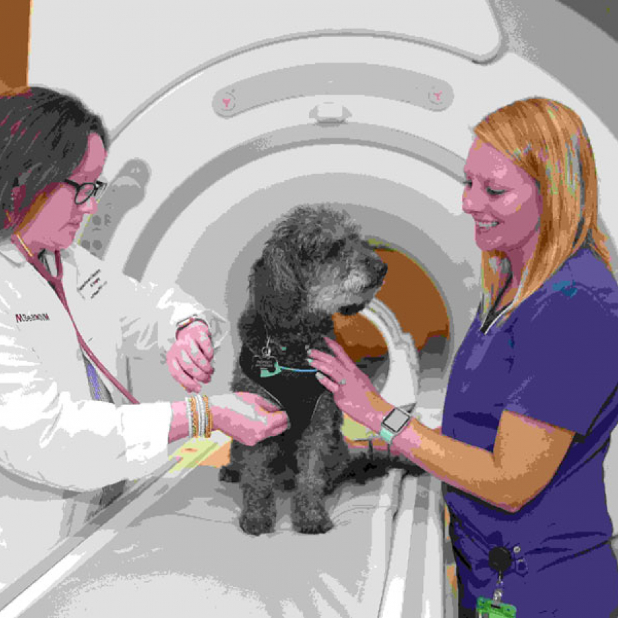 A Specialist for our Exceptional Pets