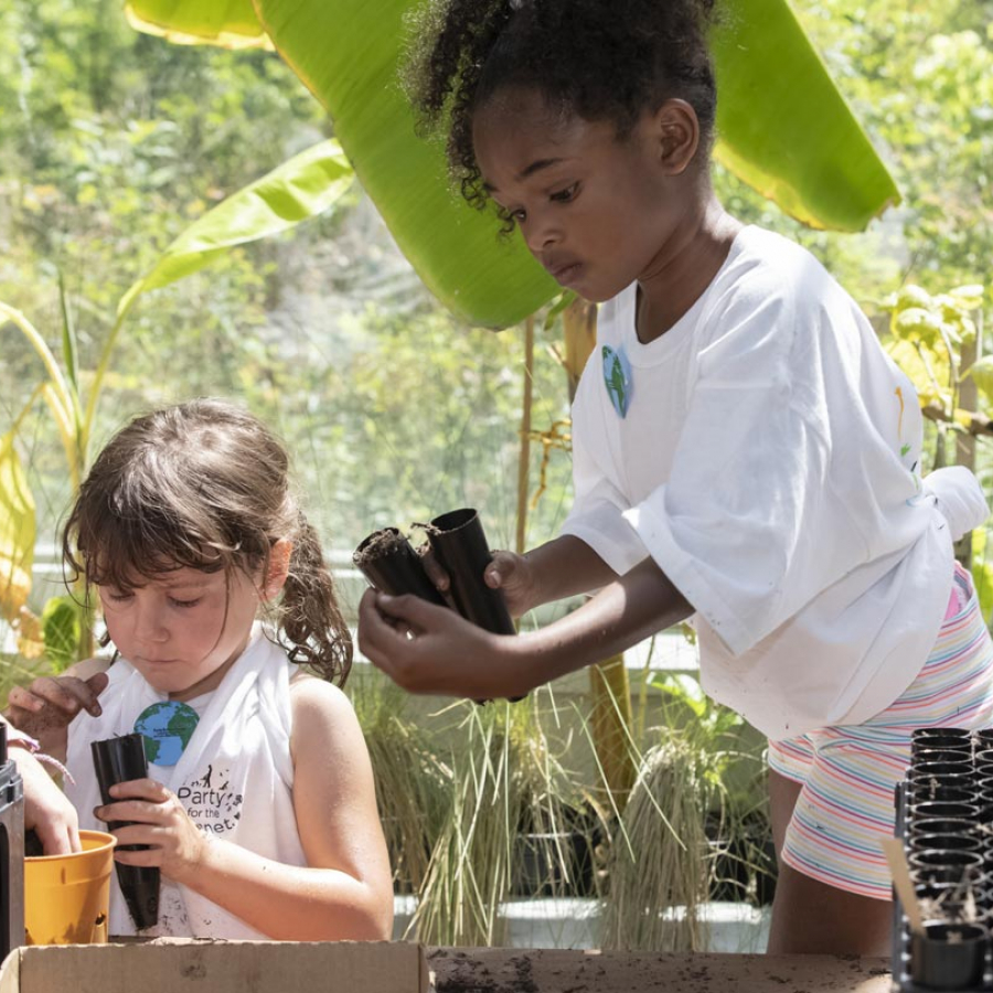 It Takes a Flock Birds Are Disappearing, But You Can Help