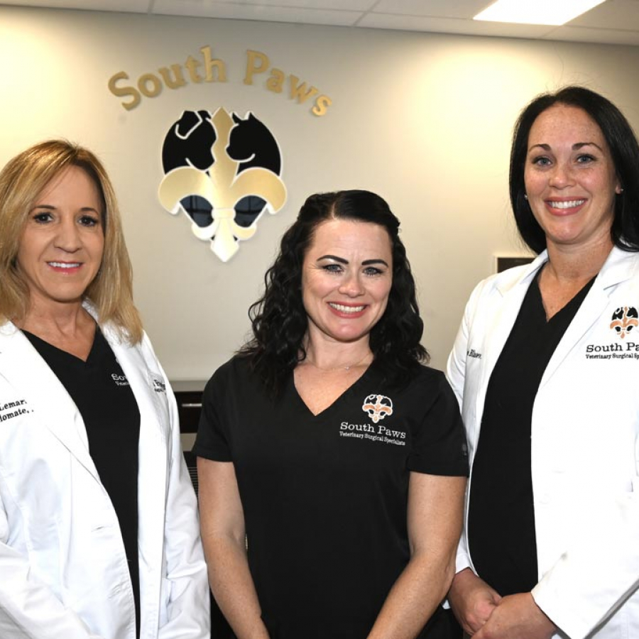 Chew on This: Your Pet's Dental Health