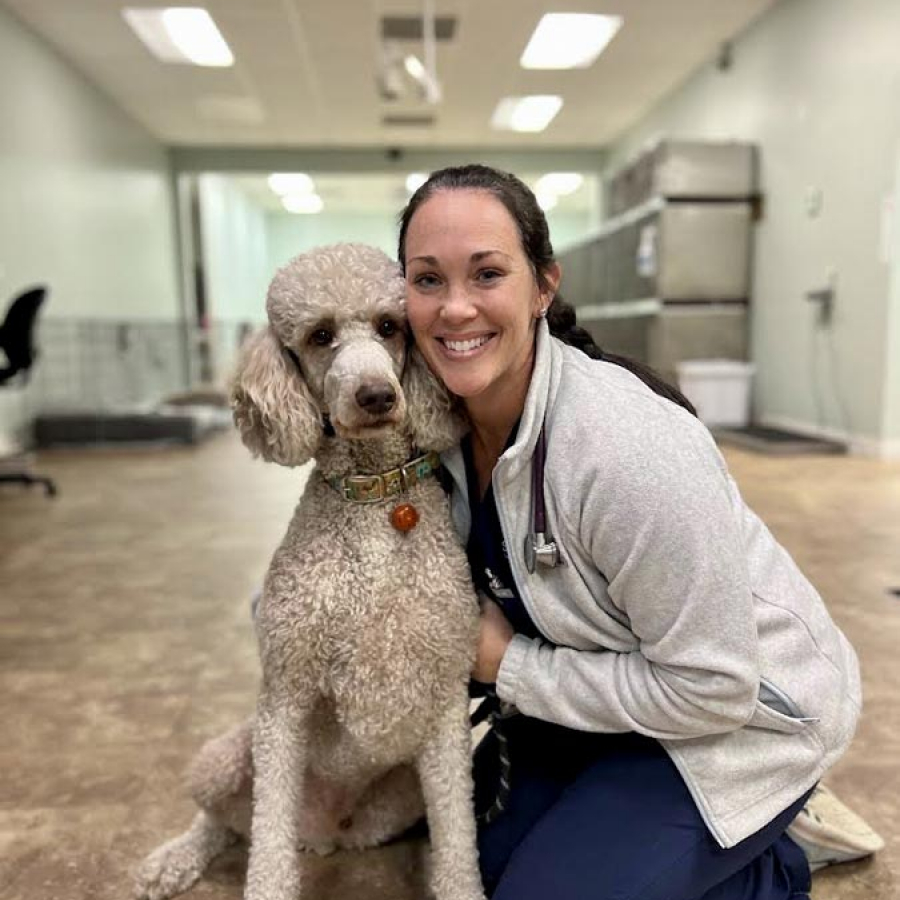 Chew on This: Your Pet's Dental Health