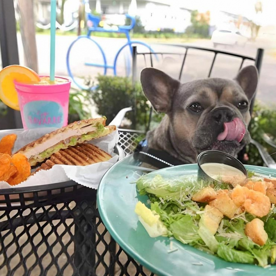 Hair of the Dog: Boozy Brunch Spots