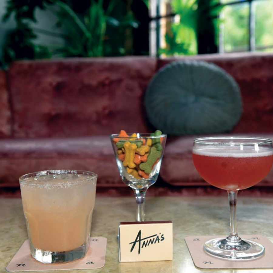 Fido-Friendly Places: Summertime Sipping with Spot