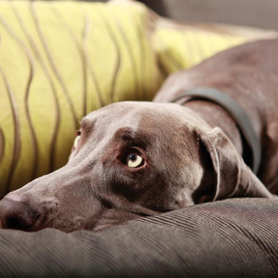 Rolling Over to the Coast