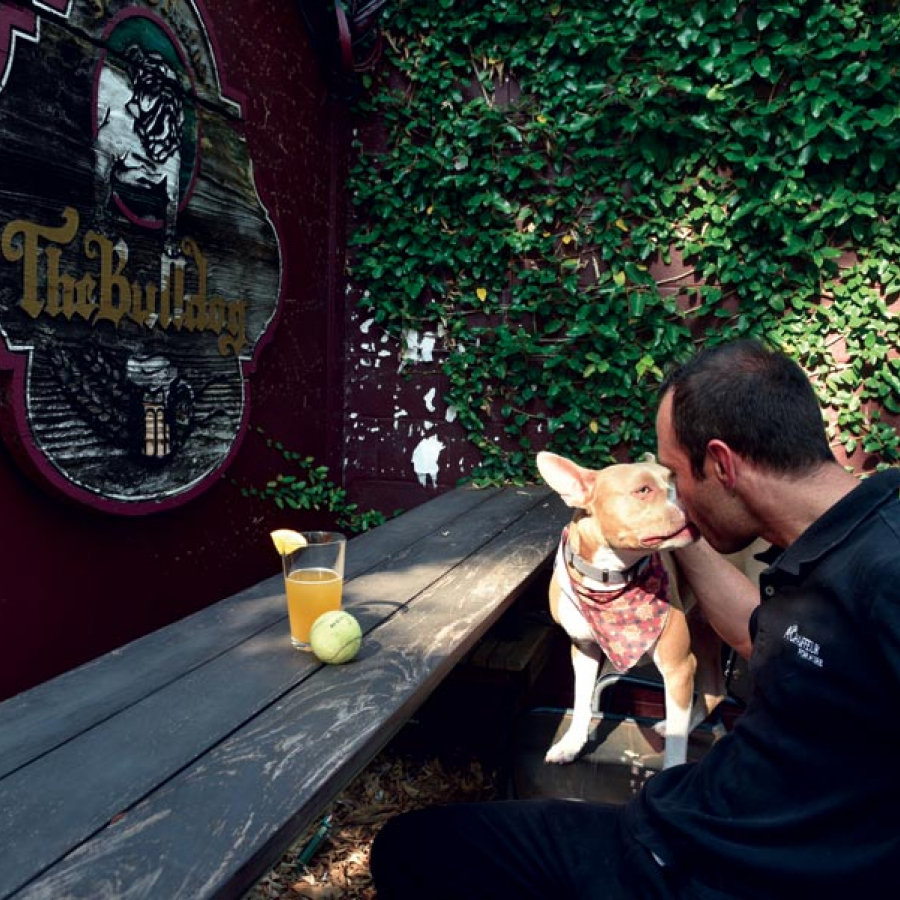 Fido-Friendly Places: Summertime Sipping with Spot