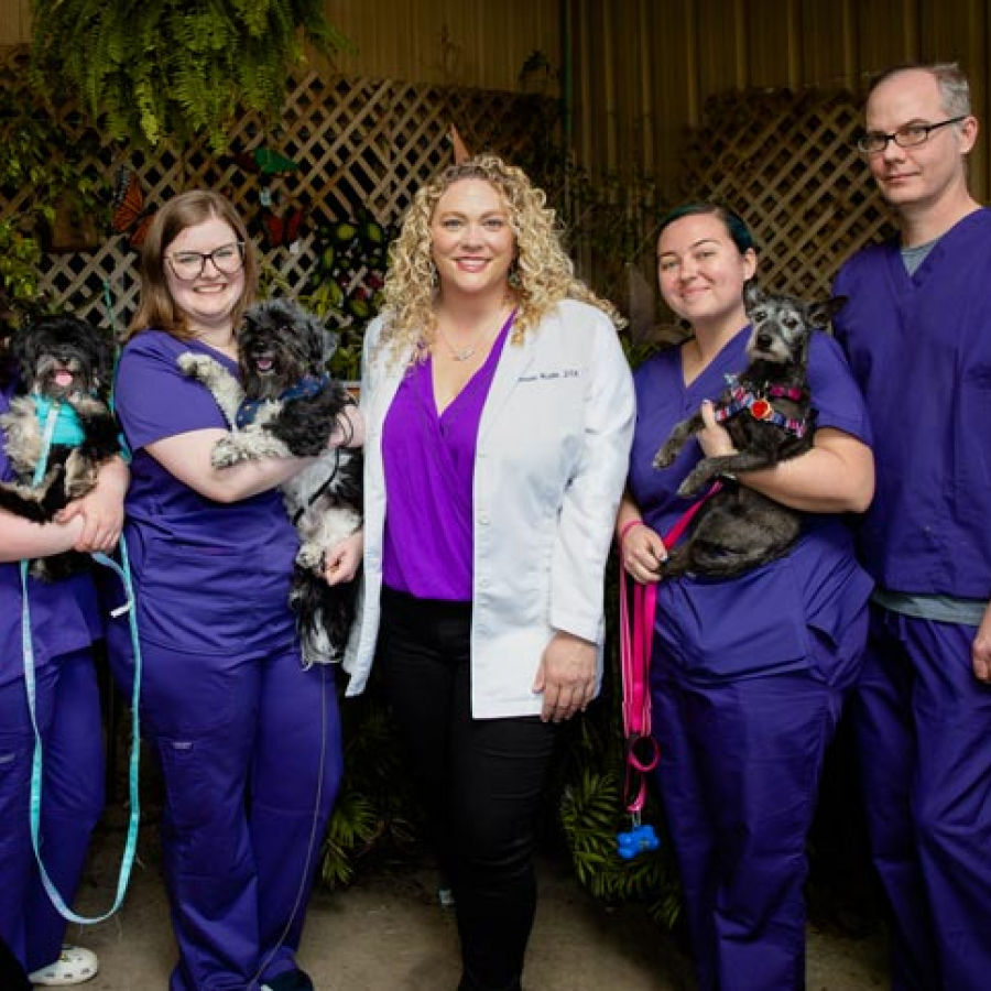 Surviving the Dog Days of Summer