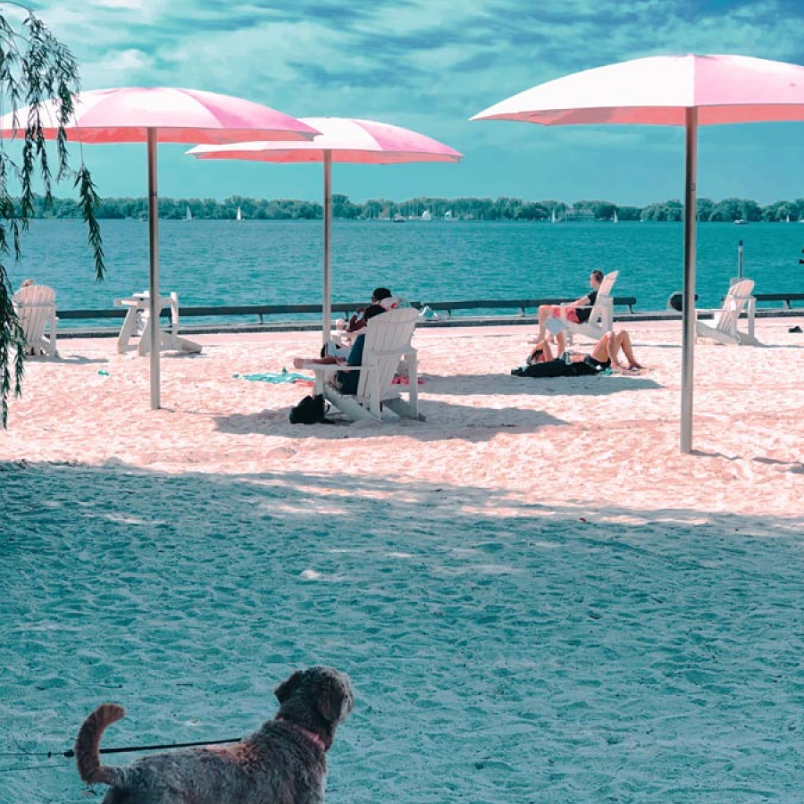 Rolling Over to the Coast