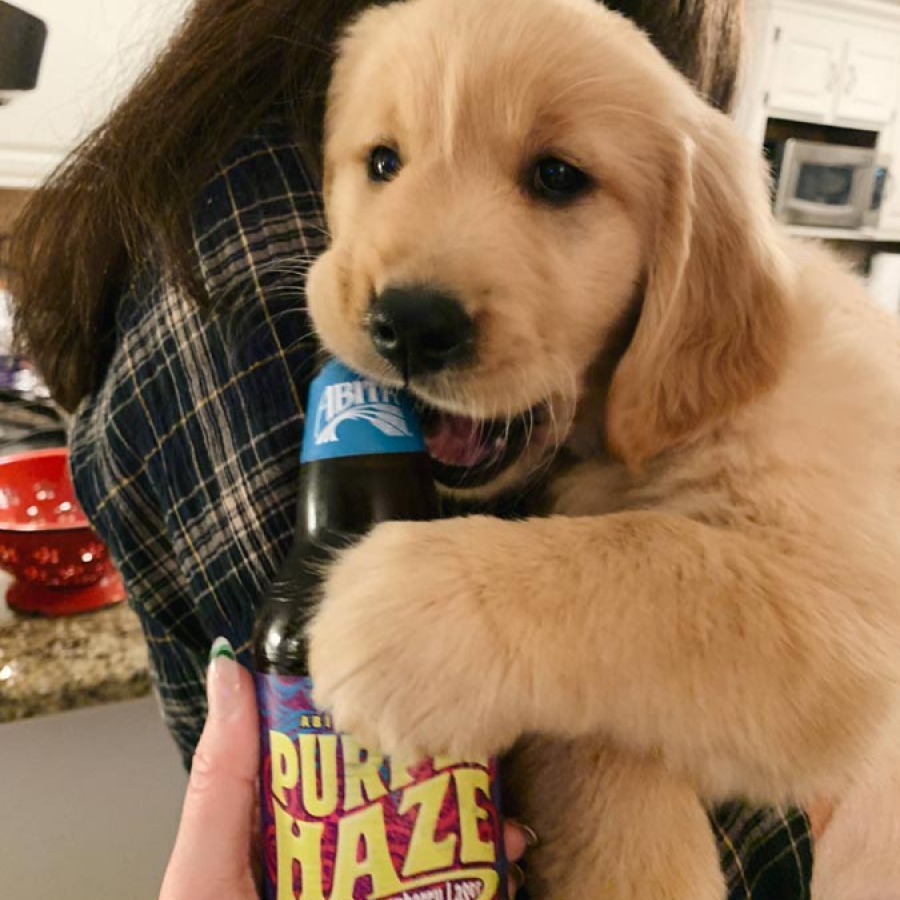 Fido-Friendly Places: Summertime Sipping with Spot