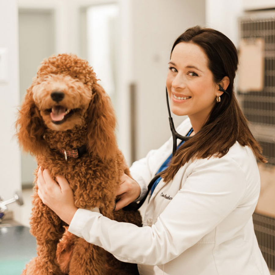 What's Up Doc - Dr. Courtney Wheeler
