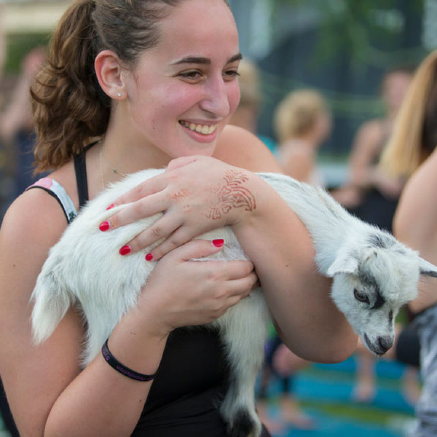 A Central City Paradigm... With Goats!
