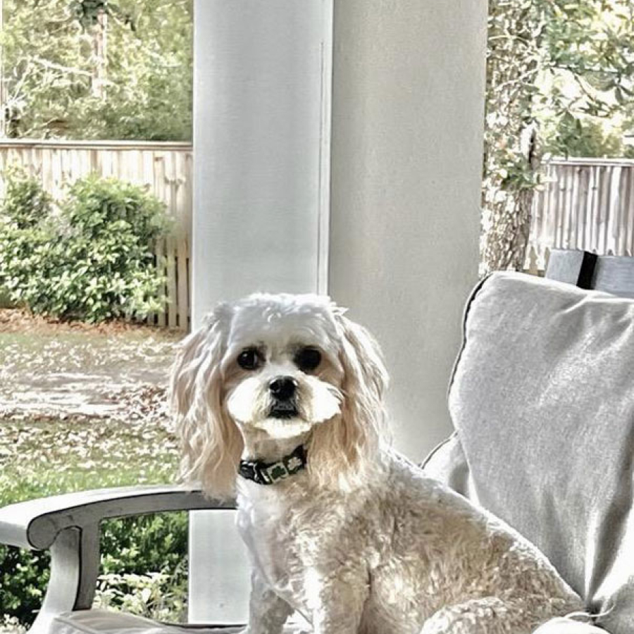 From Humble Beginnings to &quot;Best Attorney&quot; Honors