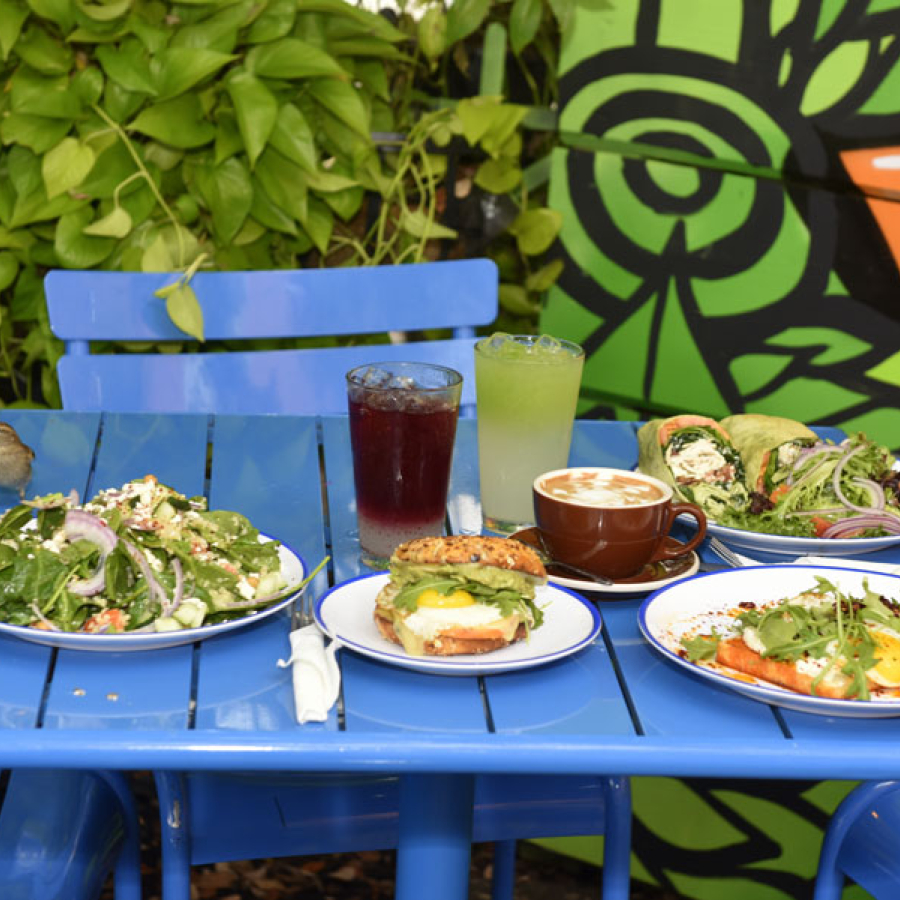 Where to Dine With Your Pack Without Packing on the Pounds