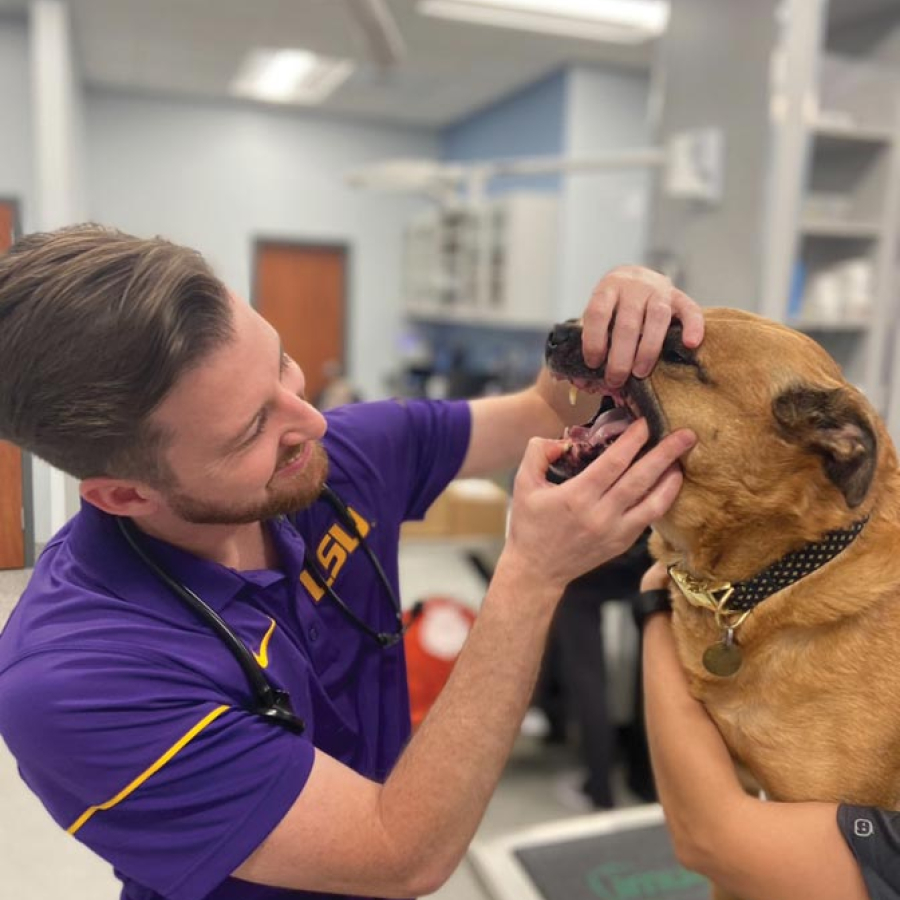 &quot;What's Up, Doc?&quot; - Age Is Not a Disease!