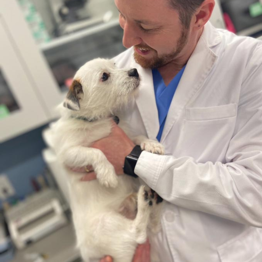 &quot;What's Up, Doc?&quot; - Age Is Not a Disease!