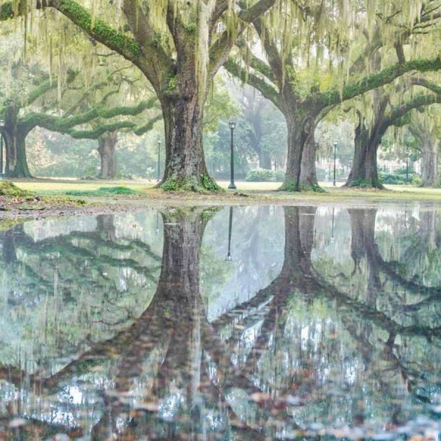 Parks and Recreation - On the Go with Fido