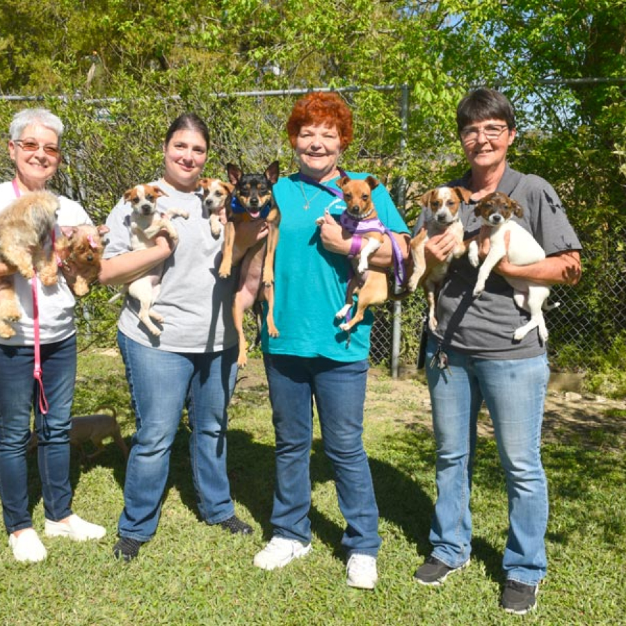 Metairie Humane Shelter