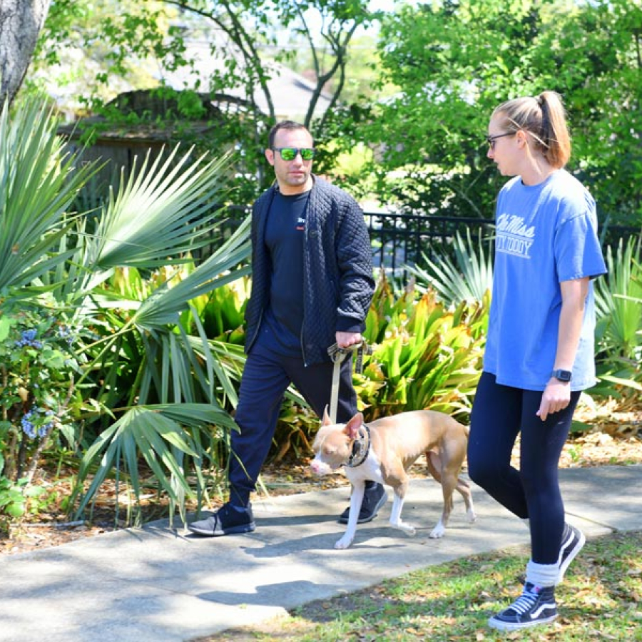 The Dog School That Makes &quot;Sit&quot; Happen