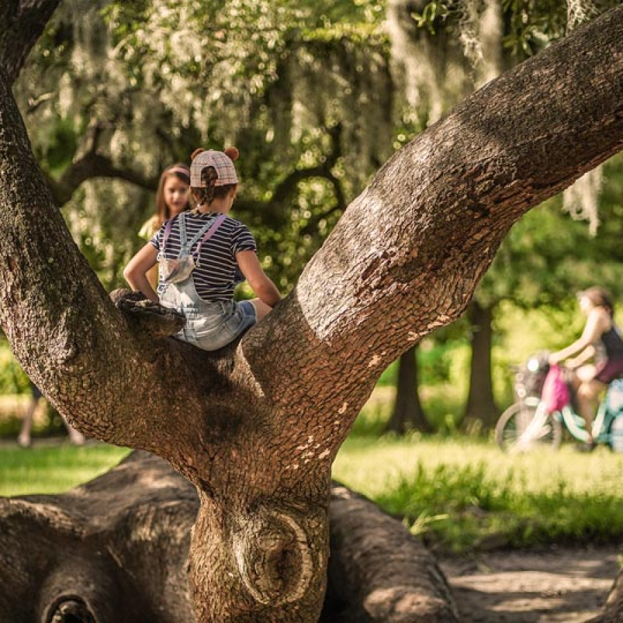 Parks and Recreation - On the Go with Fido