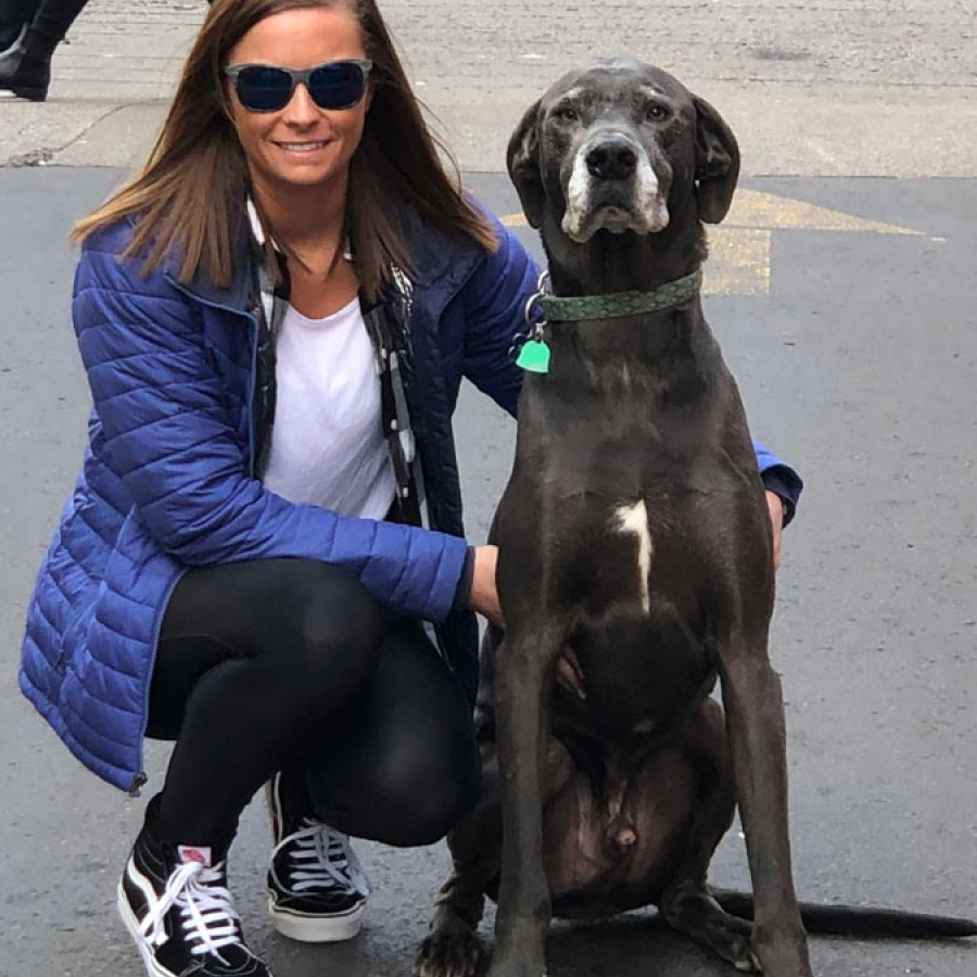 The Dog School That Makes &quot;Sit&quot; Happen