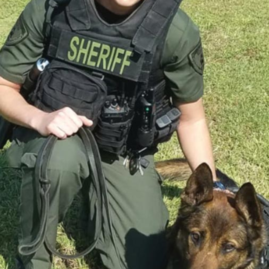 The Dog School That Makes &quot;Sit&quot; Happen