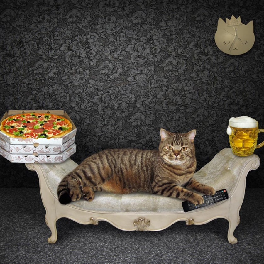 Tailgating with Fluffy