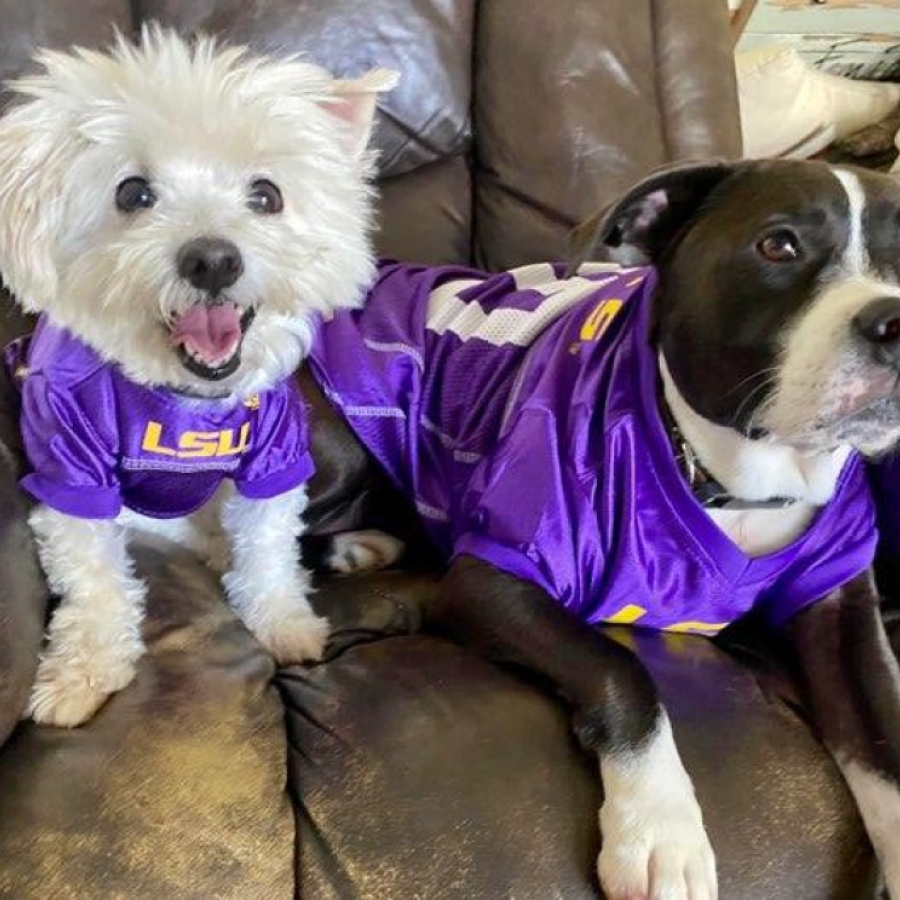 Chef Kevin Belton Lives the Sweet Life with His Dogs