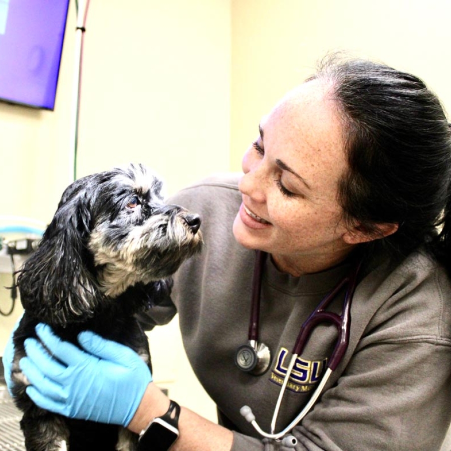 Chew on This: Your Pet’s Dental Health