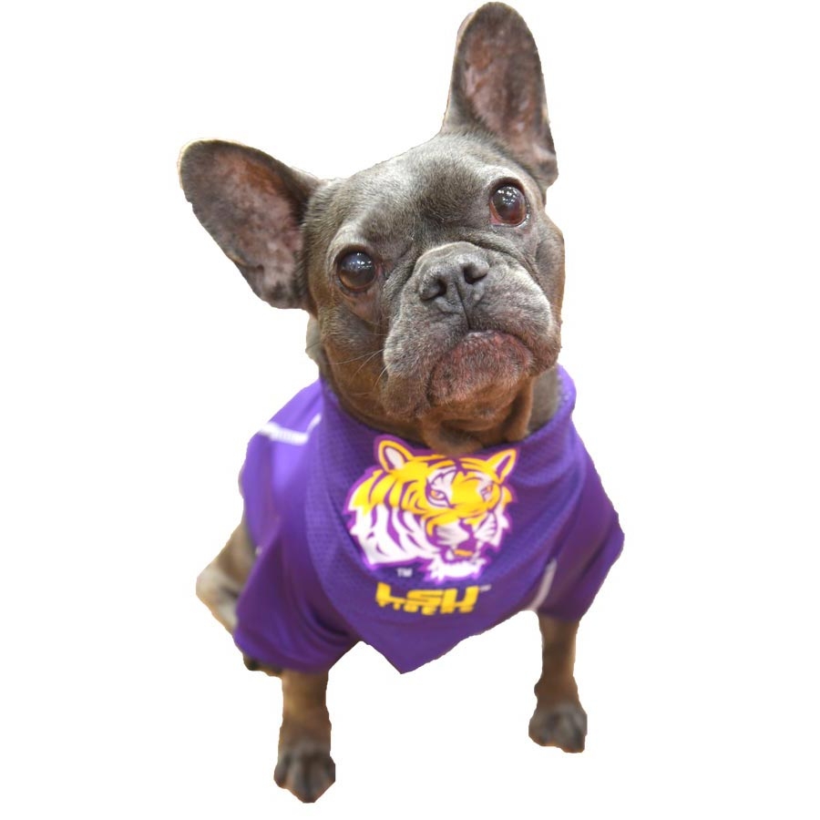 Fall Fashion and Tricks for Treats