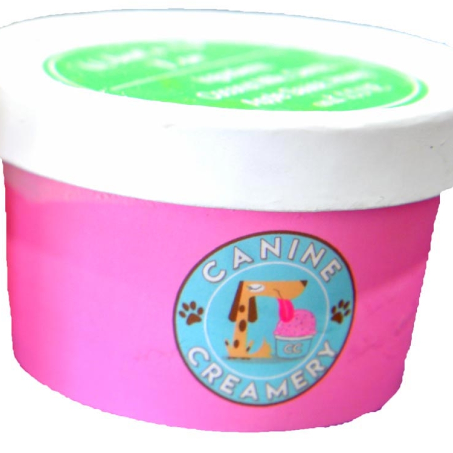 Fall Fashion and Tricks for Treats