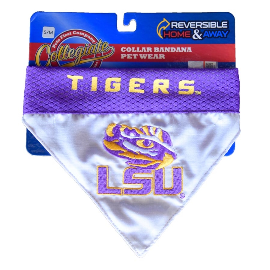 Fall Fashion and Tricks for Treats