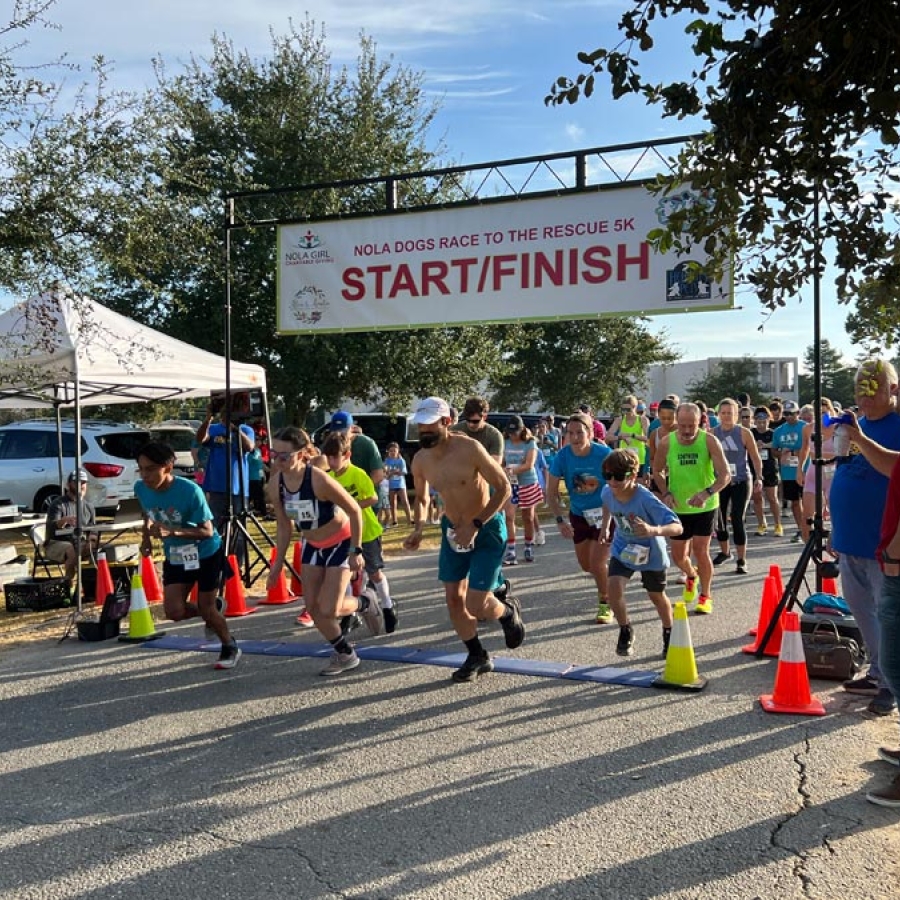 NOLA Girl: Races to the Rescues!