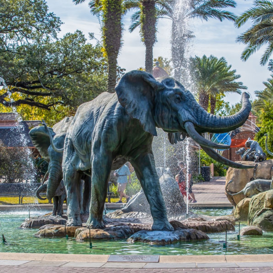 Ron Forman: The Man Who Knew What to Do with a Zoo