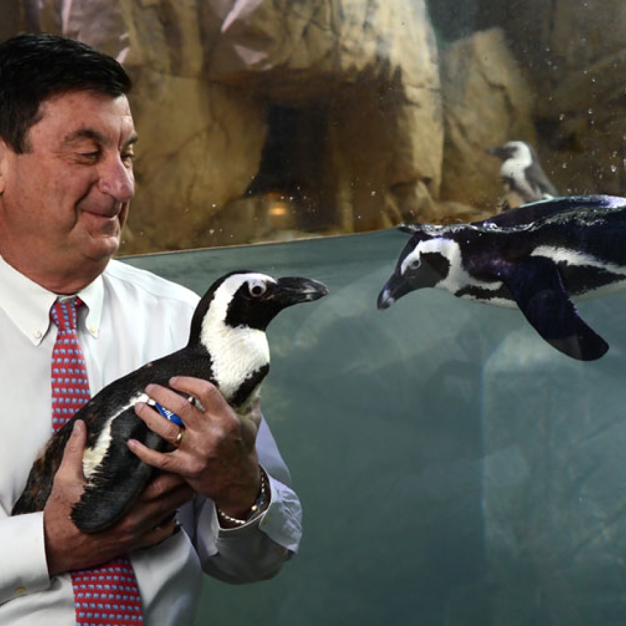 Ron Forman: The Man Who Knew What to Do with a Zoo