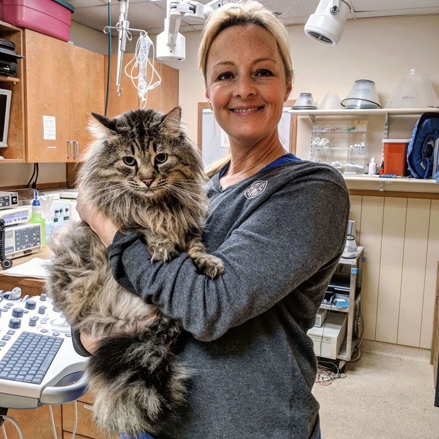 Every Specialist a Pet Needs All Under One Roof