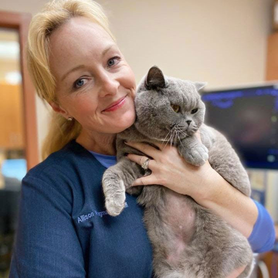 Every Specialist a Pet Needs All Under One Roof