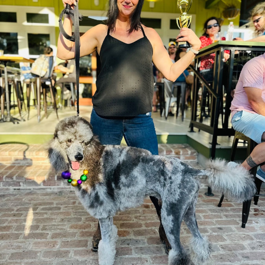 It’s PAWDI Gras Time! Parading with Your Canine Krewe