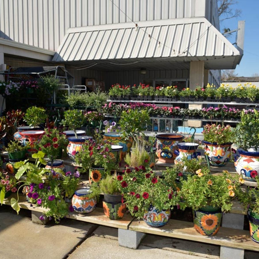 The Community’s Need for Jefferson Feed