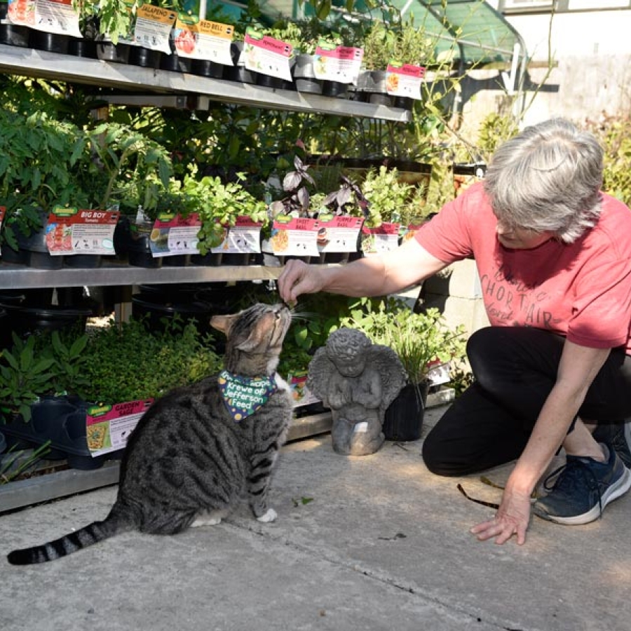 The Community’s Need for Jefferson Feed